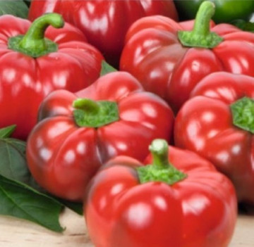 Seminte ardei gogosar Cornel (100 gr), soi romanesc imbunatatit, Pop Vriend Olanda