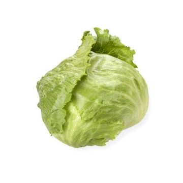 Silvinas (1000 seminte) drajate de salata tip Iceberg cu frunze de un verde deschis foarte fine ce formeaza o capatana de 0.8-1 kg gust placut frunze crocante foarte rezistente, Rijk Zwaan