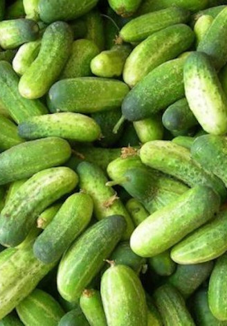 Slanic (400 seminte) de castraveti cornischon soi romanesc, 4 Agro