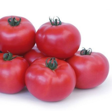 Takado F1 (10 seminte) tomate roz nedeterminate cu randament ridicat, cu o calitate si un gust excelente, KITANO