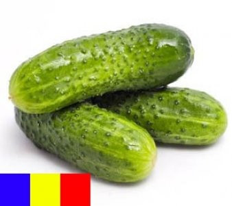 Triumf f1 (5 gr) seminte Castraveti Cornison Timpurii Romanesti pentru Sere si Solarii de la SCDL Buzau
