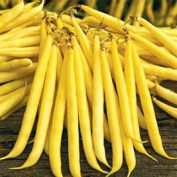 Unidor F1 (100.000 seminte) fasole pastaie galbena, Seminis