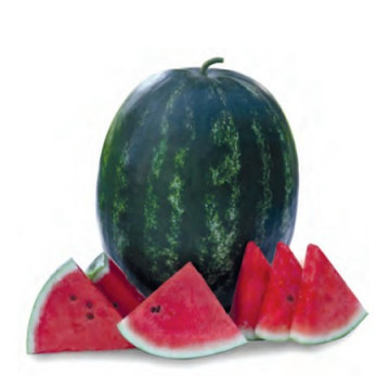 Usta F1 - 1000 sem - Seminte de pepene verde tip crimson sweet culoare rosu inchis de la Yuksel