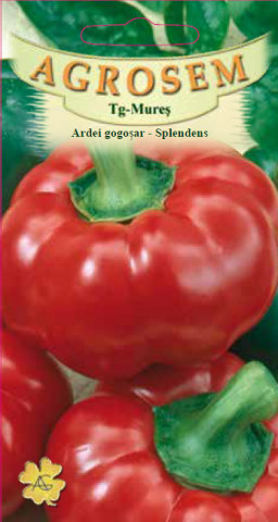 Ardei Splendens (1 kg), seminte de ardei gogosar soi timpuriu productiv, Agrosem