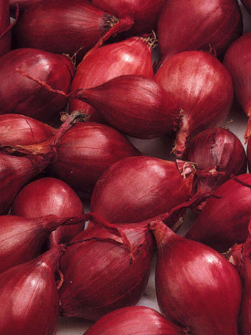 Arpagic Red Karmen (1 kg), arpagic rosu intens, calibrul 14-17 mm, Agrosem