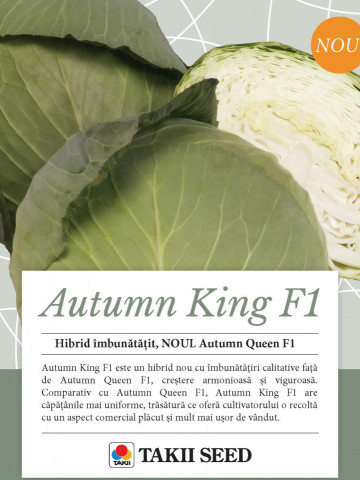 Autumn King F1 (TCA 542) (2500 seminte) de varza cu fructe plate si frunze subtiri fiind cel mai utilizat hibrid de catre fermieri, Takii Seeds