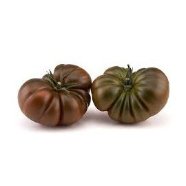 Bucanero F1 (100 seminte) de rosii nedeterminate ce prezinta o buna fermitate rosii mari de peste 230 grame, Yuksel