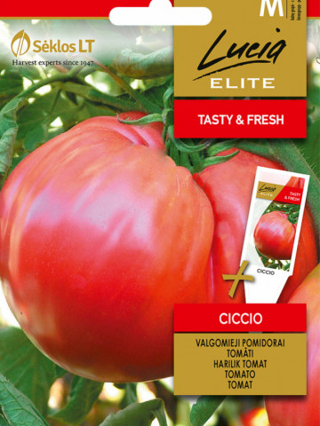 Ciccio (30 seminte) rosii uriase roze peste 1 kg, soi stravechi, semi-tardiv, nedeterminat si foarte fertil, Seklos