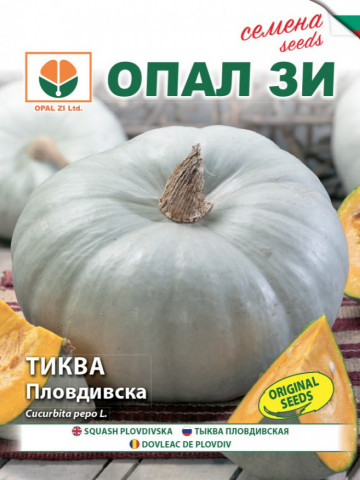 Dovleac Placintar Alb de Plovdiv (50 gr) seminte dovleac placintar bulgaresc miez portocaliu, calitati extraordinare, Opal