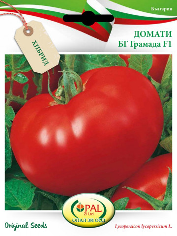 Gramada F1 (0.3 gr) seminte tomate hibrid nou bulgaresc nedeterminat semitimpuriu