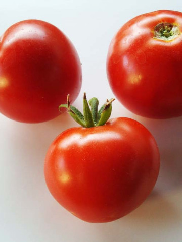 Kopnezh F1 CTX (150 seminte) tomate hibrid determinat semitimpuriu pentru camp deschis, IZK Maritsa
