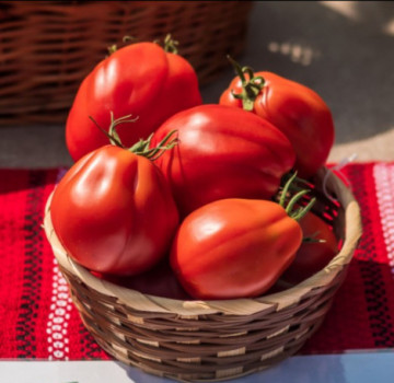 Levante F1 (100 seminte) tomate crestere nedeterminata de tip inima de bou, cu fructe mari de culoare rosu intens, Seminis