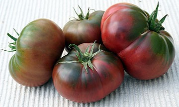 Negre de Tula (Black from Tula) 300 seminte Tomate Negre de Tula Nedeterminate Mari Extratimpurii Soi Deosebit de Gustos