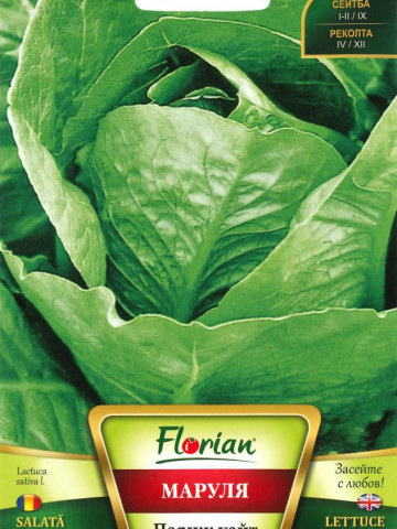 Paris White ( 2 grame), salata semitimpurie capatana mare, Florian