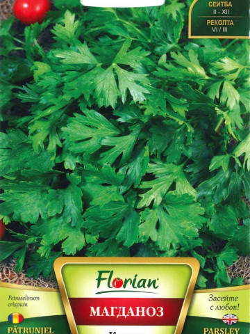 Patrunjel Comon - 100 gr - Seminte de Patrunjel Comon Soi Foarte Productiv de la Florian