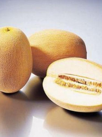 Pepene Galben Ananas (250 seminte) pepene galben Miez Zemos Dulce, Agrosem