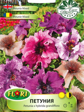 Petunie Pestrita MIX - Seminte Flori Petunie Pestrita de la Florian