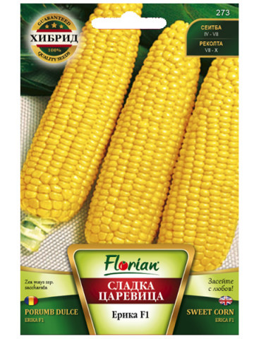 Porumb dulce Erika F1 (100 gr) seminte porumb foarte dulce zaharat extratimpuriu, lungime stiulete 20 - 22 cm