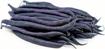 Purple Queen (25 kg) Seminte de Fasole pitica mov Purple Queen Soi Productiv Timpuriu, Agrosem
