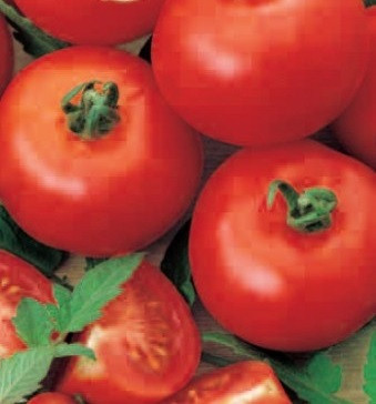 Rosii Buzau 4 (1 kg), seminte de tomate soi timpuriu de camp, SCDL Buzau