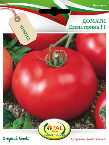 Rosii Elena Prima F1 - 1 gr - Seminte tomate determinate semitimpurii