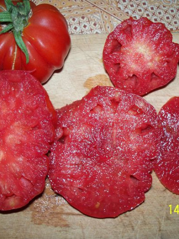 Rosii Pearson sel d'Albenga (250 seminte), tomate cu fructe mari in forma de para tip Albenga tip Beef, Prima Sementi