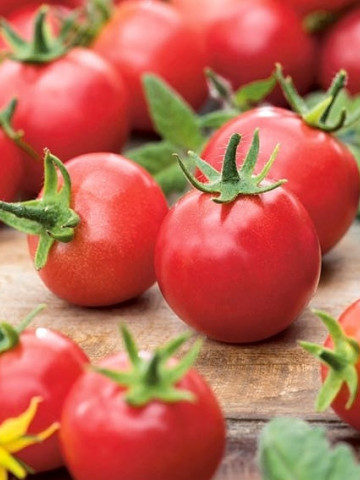 Rosii Rubinka (60 seminte) tomate tip cherry cocktail cu fructe mici