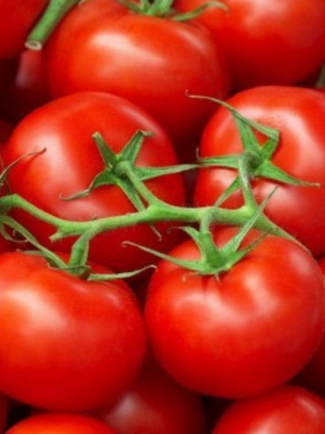 Rosii Tomosa F1 (20 seminte), hibrid semitimpuriu cu crestere nedeterminata, Kertimag