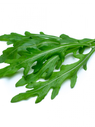 Rucola Salbatica (500 seminte) de Rucola Salbatica Diva de la Opal