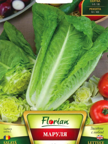 Salata PARRIS ISLAND COS - 2 gr - Seminte de Salata Soi semitimpuriu Florian Bulgaria