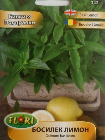 Seminte busuioc lamaie Medicinal (1 gr), Seminte Plante Medicinale Busuioc Lamaie, Florian