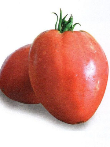 Seminte rosii Sweetheart (175 seminte), semitimpurii in forma de inima, Agrosel