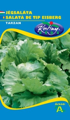 Seminte salata Tarzan (2 gr), salata iceberg, Kertimag
