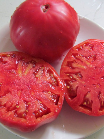 Seminte tomate Rozov Blyan Vis Roz (1 gr), crestere nedeterminata semitimpurii, Florian Bulgaria