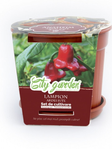 Set de cultivare - Ardei iute Chilli Lampion, Colectia City Garden