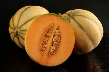 Talisman F1 (500 seminte) pepene galben timpuriu tip Cantaloupe, ideal pentru cerintele pietei, Sakata