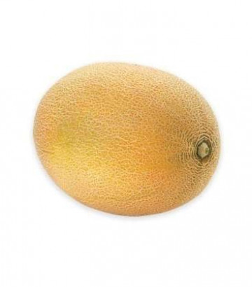 Timeos F1 (500 seminte) pepene galben tip Ananas, pulpa crem, Hazera