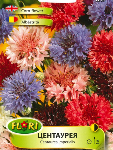 Albastrita - Seminte Flori Albastrita Centauree cu floare albastra de la Florian