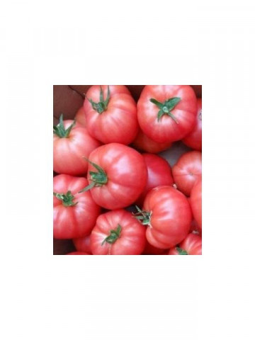 Aphen F1 (10 seminte) de tomate roz cu crestere nedeterminata, extratimpurii, Clause