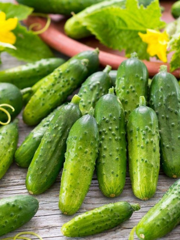 Castraveti Conny F1 (400 seminte) castraveti cornison cu randament mare si calitati excelente, Agrosem