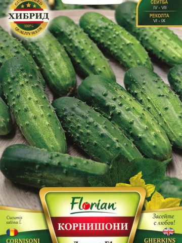 Castraveti Cornison Levina F1 - 3 g - Seminte Castraveti tip Cornichon, Florian