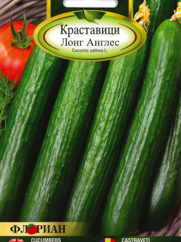 Castraveti LONG ANGLES - 2 gr - Seminte de Castraveti Soi pentru salate Florian Bulgaria