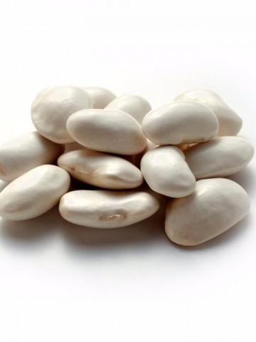 Coco White (1 kg) seminte fasole oloaga, timpurie pentru boabe, Agrosem