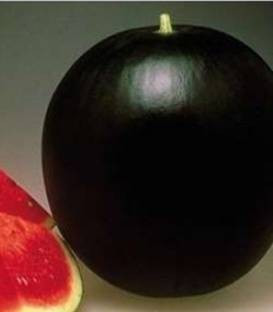 CRX 10112 F1 - 500 sem - Seminte de pepene verde cu fructe de culoare verde inchis rotunde uniforme si putine seminte avand un ciclu lung de recoltare si buna acoperire foliara a fructului de la Cora Seeds