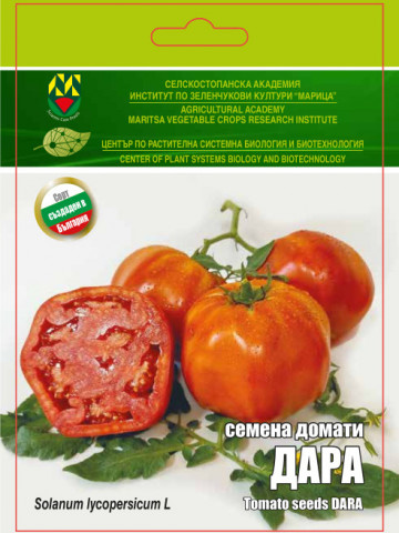 Dara (150 seminte) rosii mari nedeterminate, carnoase cu un gust traditional, IZK Maritsa