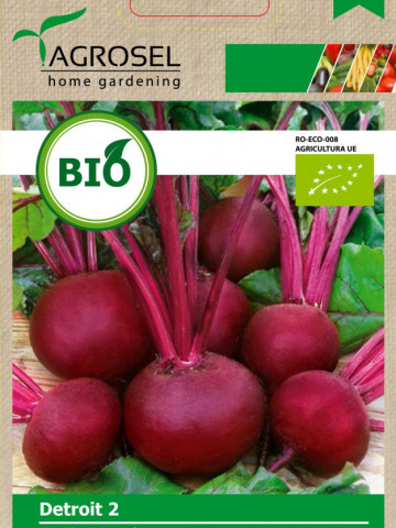 Detroit 2 BIO (200 seminte) de sfecla rosie de salata ECO certificate ecologic, Agrosel