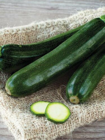 Dovlecel Black Beauty (3.000 seminte) seminte dovlecel zucchini soi productiv, fara vrej, Agrosem