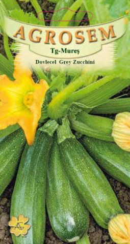 Dovlecel Grey Zucchini (21 seminte) dovlecel soi timpuriu, miez alb, gustos, Agrosem