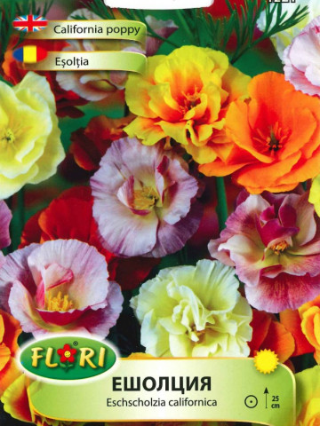 Esoltia - Seminte Flori Esoltia Planta Anuala de la Florian