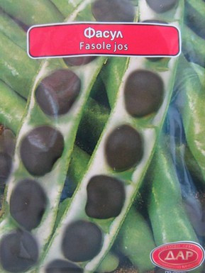 Fasole Neagra Pastai Stara Zagora - 40 gr - Seminte Fasole Neagra Pastai Soi Timpuriu Italia, Opal